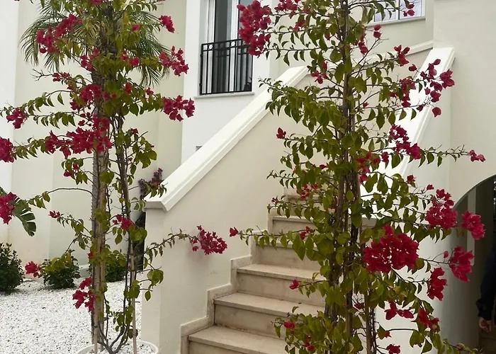 Casa Montgo Appartamento